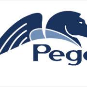 Pega Online Training Classes by Monstercourses